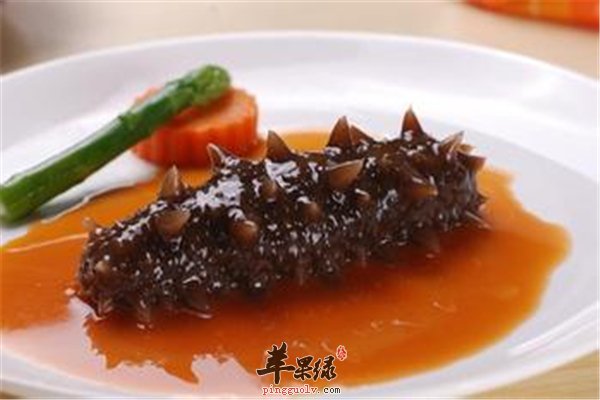海参降压益心脏 中老年人的最爱