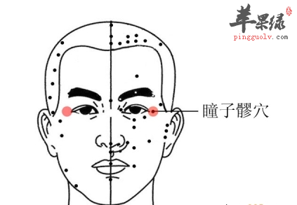 瞳子髎穴位位置及图片_瞳子髎穴的功效与作用_按摩手法