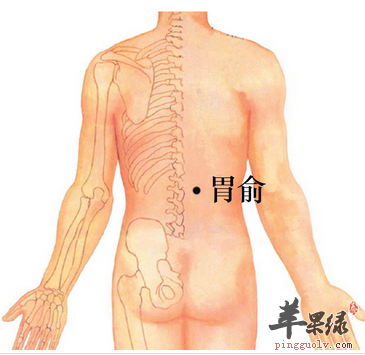 胃俞穴位位置及图片_胃俞穴的功效与作用_按摩手法