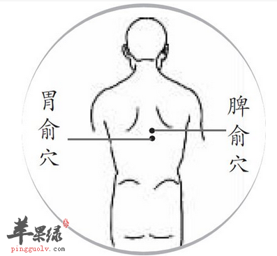 胃俞穴位位置及圖片_胃俞穴的功效與作用_按摩手法