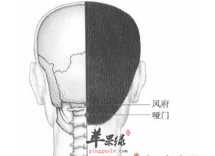 哑门穴位位置图