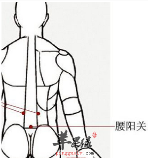 腰陽關的位置圖