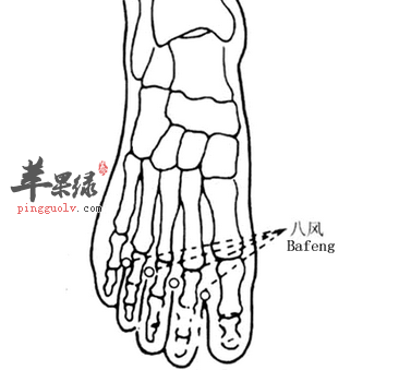 八风八邪准确位置图图片