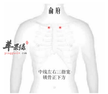 俞府穴位位置图