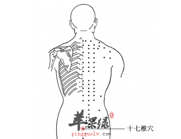 十七椎穴位位置图