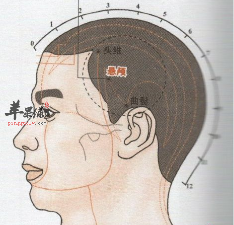悬颅穴位位置图