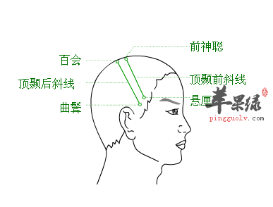 悬厘穴位位置图