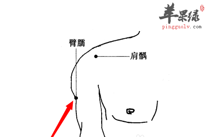 臂臑穴位位置图