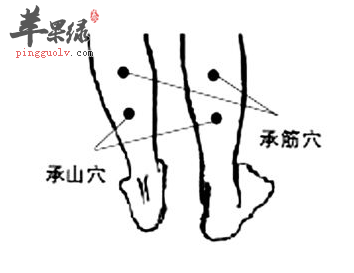 承筋穴的位置及图片_承筋穴的功效与作用_按摩手法