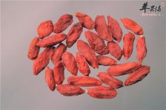 枸杞中药食材是首选 男性选择的理由