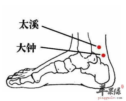 大钟穴的位置及图片_大钟穴的功效与作用_按摩手法