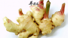 吃生姜时要注意的饮食禁忌