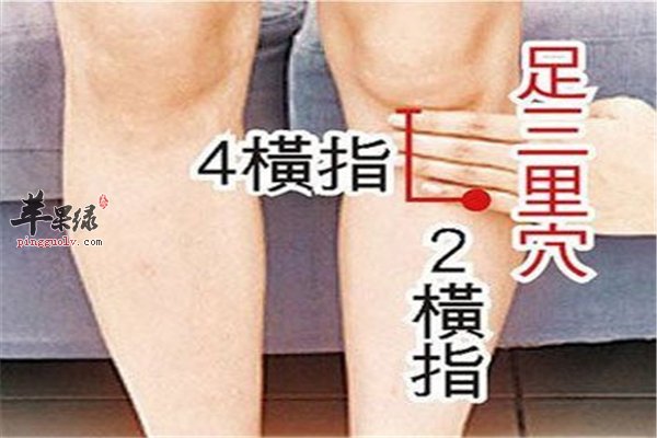 足三里穴位人人都有 男女老少作用不同