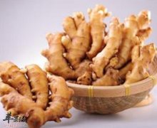 【男性吃姜有什么好处】益处_作用