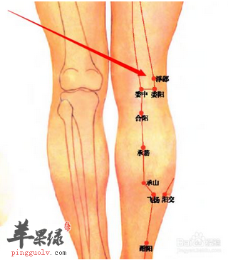 浮郄穴的位置及图片_浮郄穴的功效与作用_按摩手法