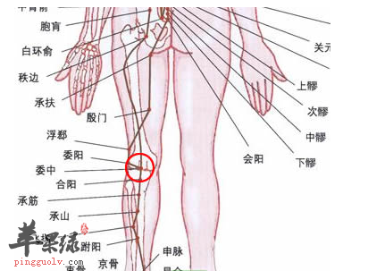 浮郄穴的位置及图片_浮郄穴的功效与作用_按摩手法