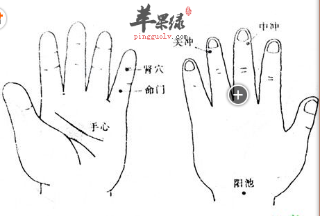 關衝穴位位置圖