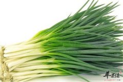 男性三大宝 大葱韭菜洋葱不能少