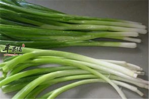 男性三大宝大葱韭菜洋葱不能少