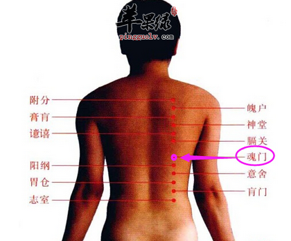 魂门穴的位置及图片_魂门穴的功效与作用_按摩手法