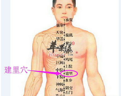 建里穴的位置及图片_建里穴的功效与作用_按摩手法