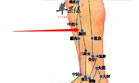 小腿漏谷对应的器官图图片