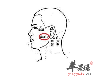 蘋果綠 中醫養生 牽正穴位位置圖 牽正穴的位置,在面頰部,耳垂前方0.