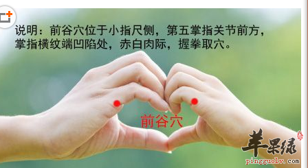 苹果绿 中医养生 前谷穴的按摩手法 用拇指指腹按