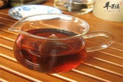 灵芝泡茶作用大 女性能不能饮用