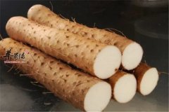 秋冬季节山药养生适合中老年人
