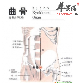 曲骨穴位位置图