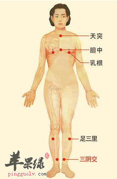 乳根穴位位置图