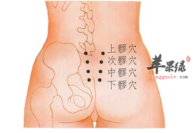 上髎穴穴位位置图_上髎穴的功效与作用_按摩手法