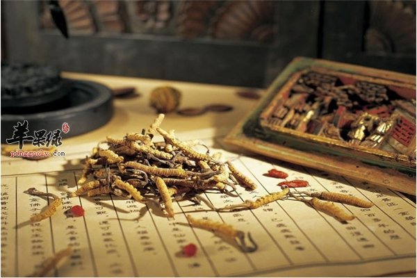 男性虚弱不要怕 中医调理有奇招