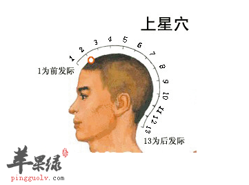 上星穴位位置图