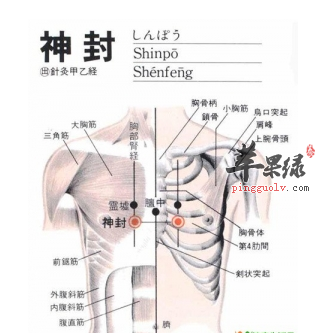 神封穴位位置图