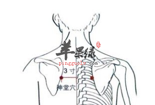 神堂穴穴位位置图_神堂穴的功效与作用_疗法及注意事项