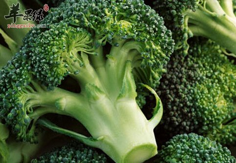 花椰菜和西兰花之间到底有哪些不同之处 苹果绿
