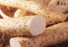 冬季吃山药可以助消化 酥炸山药的做法