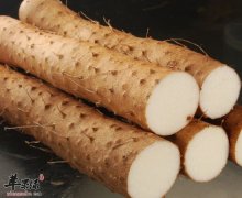 山药养生效果这么好 大家知道吗