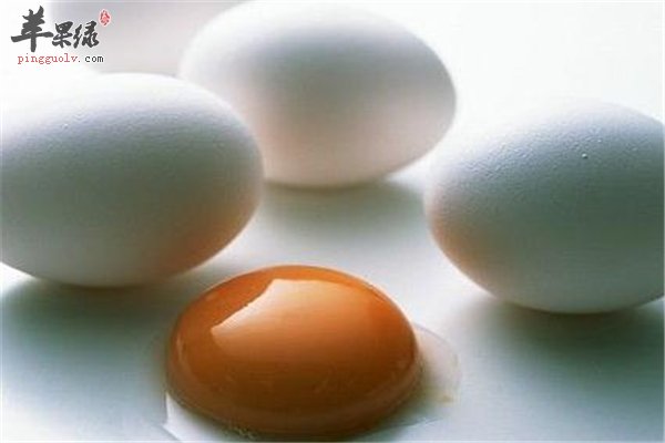 鹅蛋营养丰富每天最多吃三个