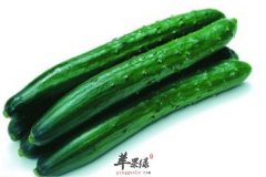 【吃黄瓜能减肥吗】黄瓜减肥法_为什么能减肥