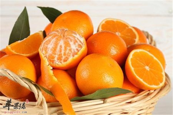 孕期吃橘子宝宝会黄疸吗？
