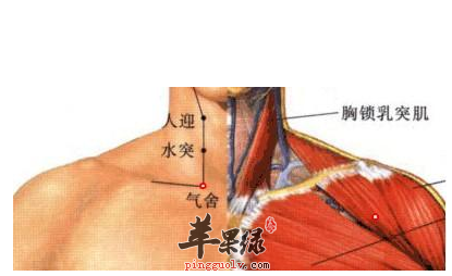 水突穴穴位位置图_水突穴的功效与作用_按摩手法