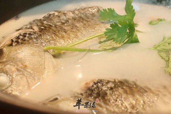 產婦鯽魚湯的做法以及好處