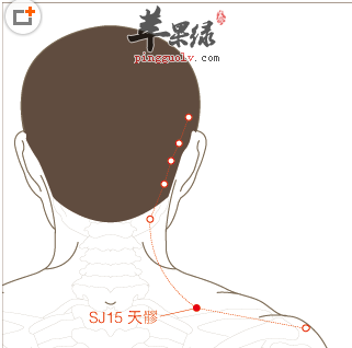 天髎穴穴位位置图_天髎穴的功效与作用_疗法注意事项