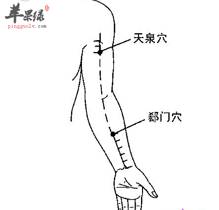 1,天泉穴配內關穴,通裡穴:治心痛,心悸; 2,天泉穴配肺俞穴,支溝穴:治