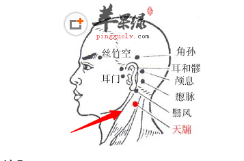 天牖穴位位置图