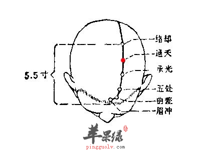 通天穴穴位位置图_通天穴的功效与作用_按摩手法