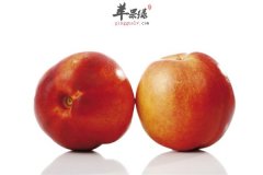 【皮肤过敏的人可以吃油桃吗】